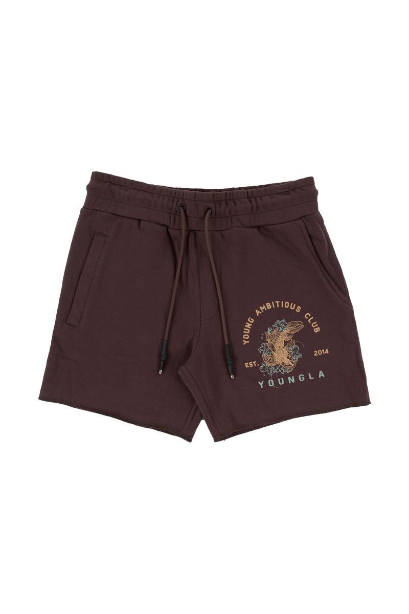 YoungLA 111 Dedication Corta Shorts Marron | 418-RPJYQT