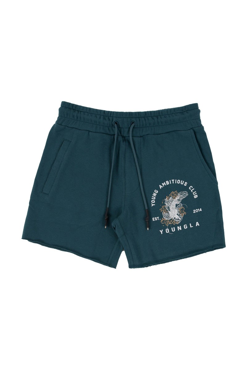 YoungLA 111 Dedication Corta Shorts Teal | 425-QGHXLY