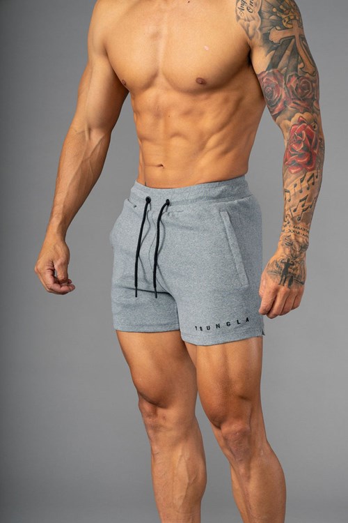 YoungLA 113 The Perfect Corta Shorts Grise | 465-GEHOBL